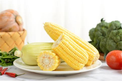 zDW_501355100_banner_ףI(y)ã.jpg